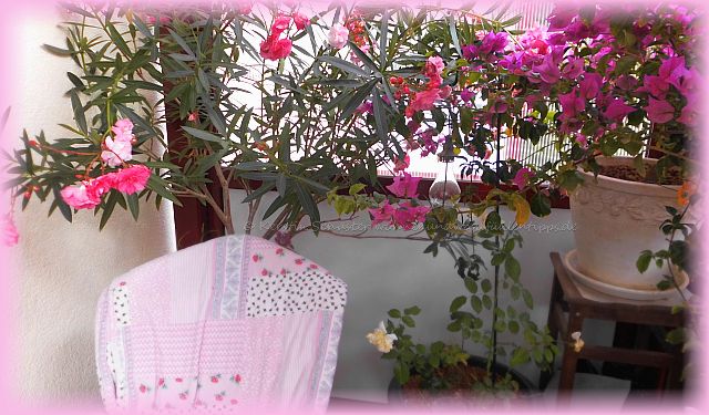 Tipps für frische Schnittblumen in der Vase 