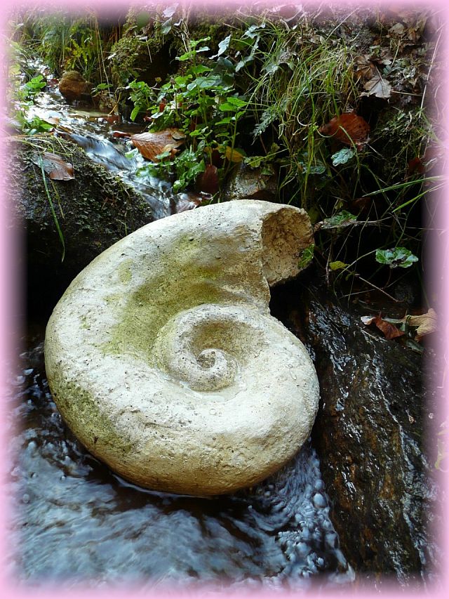 Posthornschnecke Steinguss Andrea Wenzel
